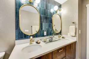 Elegant Colorado Springs bathroom remodel featuring designer basins and large mirrors